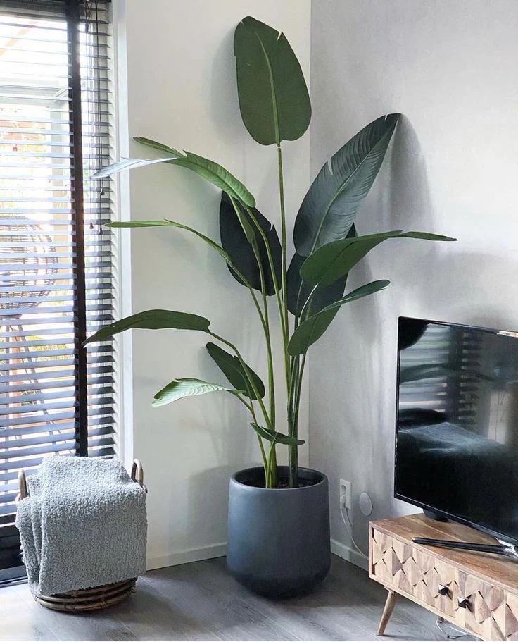 6 ft Artificial Banana Palm Plant – Indoor Decorative Plant