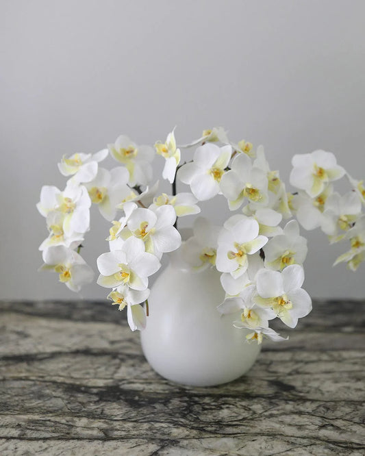 23 Inch Artificial White Phalaenopsis Orchid – Indoor Decorative Plant