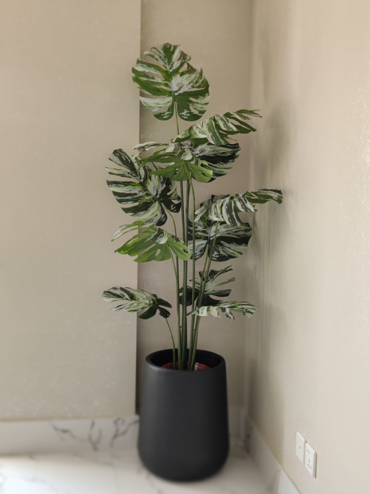 5 ft Artificial Monstera Albo Plant with Planter – Indoor Decorative Plant