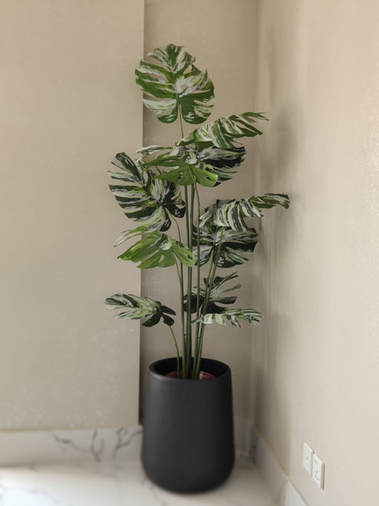 5 ft Artificial Monstera Albo Plant with Planter – Indoor Decorative Plant